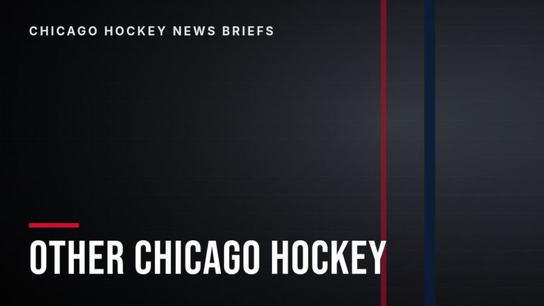Other Chicago Hockey category graphic